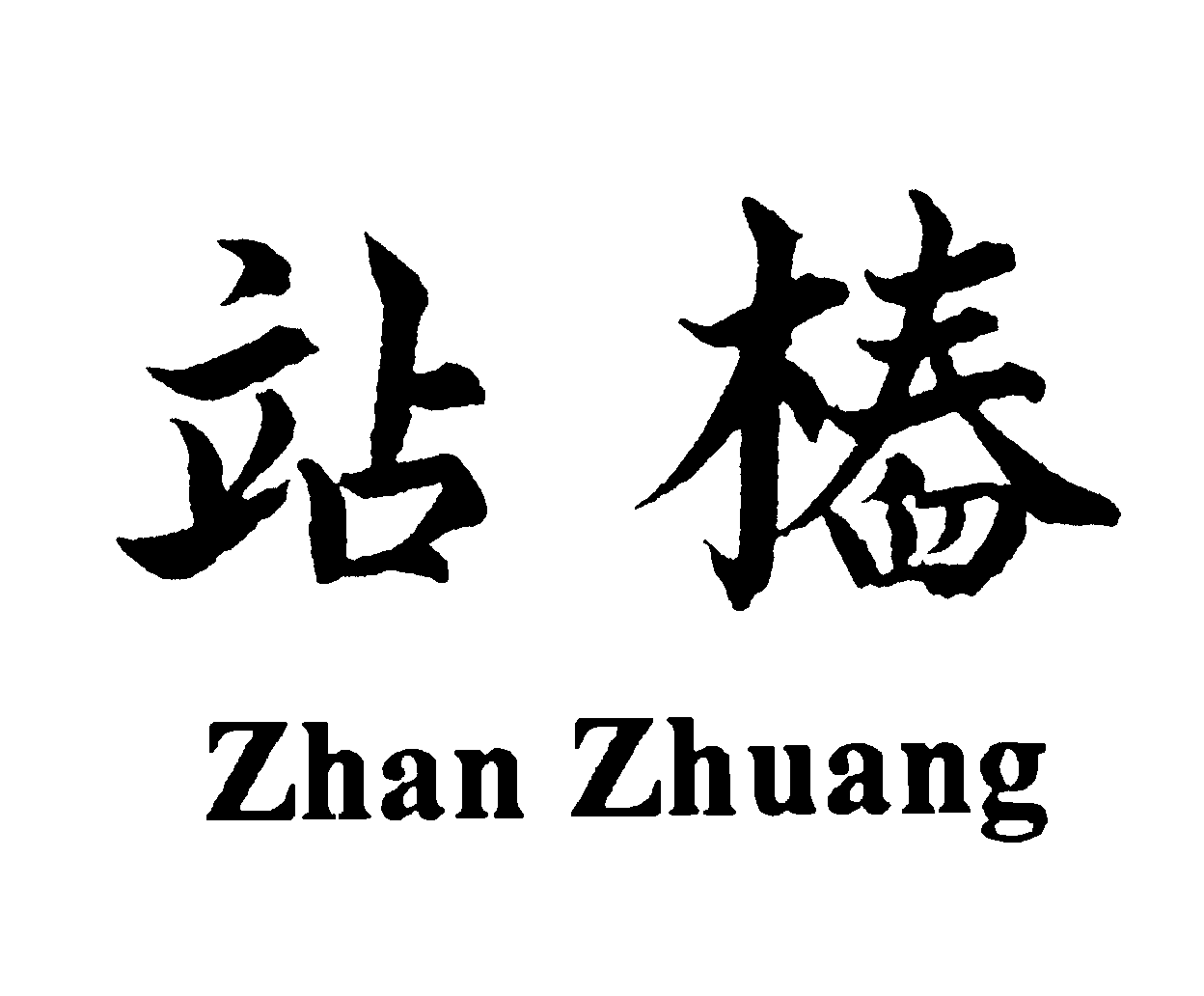QiZZ-chin2